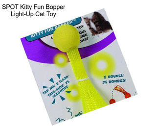 SPOT Kitty Fun Bopper Light-Up Cat Toy