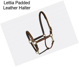 Lettia Padded Leather Halter