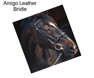 Amigo Leather Bridle