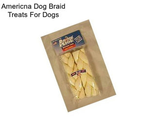 Americna Dog Braid Treats For Dogs