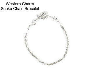 Western Charm Snake Chain Bracelet