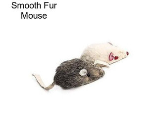 Smooth Fur Mouse