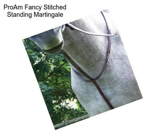 ProAm Fancy Stitched Standing Martingale