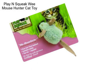 Play N Squeak Wee Mouse Hunter Cat Toy