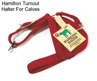 Hamilton Turnout Halter For Calves