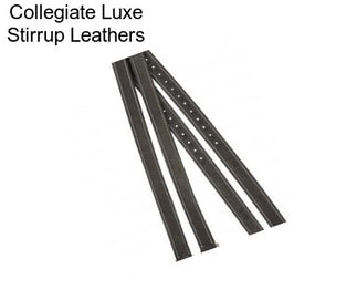 Collegiate Luxe Stirrup Leathers