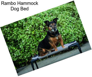 Rambo Hammock Dog Bed