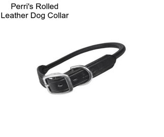 Perri\'s Rolled Leather Dog Collar