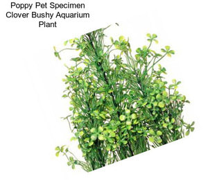 Poppy Pet Specimen Clover Bushy Aquarium Plant