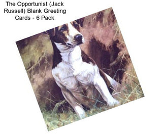 The Opportunist (Jack Russell) Blank Greeting Cards - 6 Pack