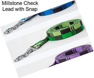 Millstone Check Lead with Snap