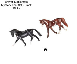 Breyer Stablemate Mystery Foal Set - Black Pinto