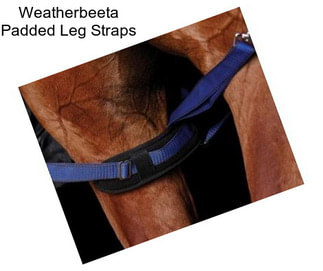 Weatherbeeta Padded Leg Straps