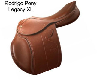 Rodrigo Pony Legacy XL