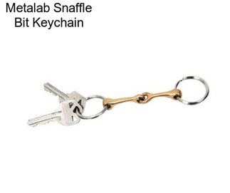 Metalab Snaffle Bit Keychain