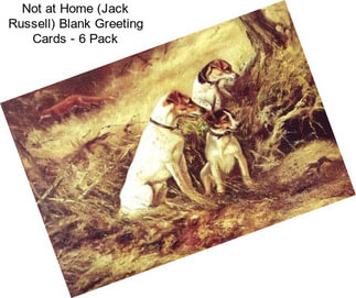 Not at Home (Jack Russell) Blank Greeting Cards - 6 Pack