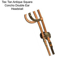 Tex Tan Antique Square Concho Double Ear Headstall