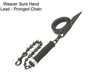 Weaver Sure Hand Lead - Pronged Chain