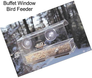 Buffet Window Bird Feeder