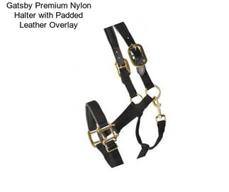 Gatsby Premium Nylon Halter with Padded Leather Overlay