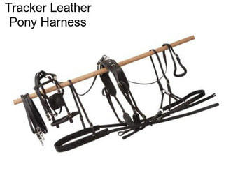 Tracker Leather Pony Harness