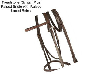 Treadstone Richtan Plus Raised Bridle with Raised Laced Reins
