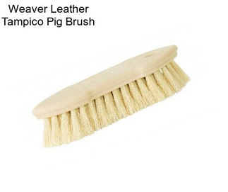 Weaver Leather Tampico Pig Brush