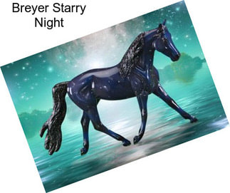 Breyer Starry Night