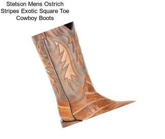 Stetson Mens Ostrich Stripes Exotic Square Toe Cowboy Boots