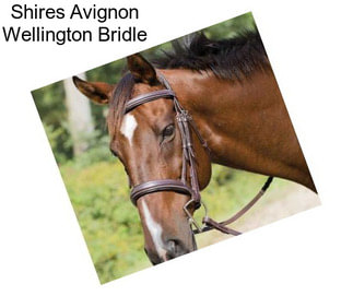 Shires Avignon Wellington Bridle