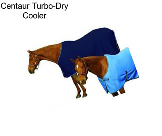 Centaur Turbo-Dry Cooler