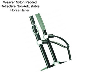Weaver Nylon Padded Reflective Non-Adjustable Horse Halter