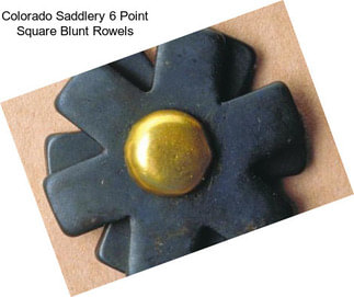 Colorado Saddlery 6 Point Square Blunt Rowels