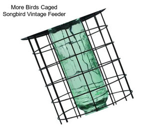 More Birds Caged Songbird Vintage Feeder