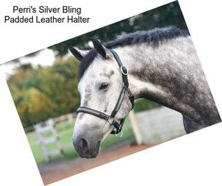 Perri\'s Silver Bling Padded Leather Halter