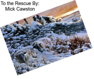 To the Rescue By: Mick Cawston