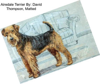 Airedale Terrier By: David Thompson, Matted