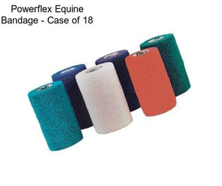 Powerflex Equine Bandage - Case of 18