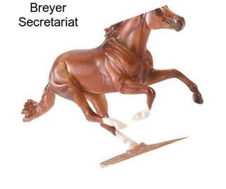 Breyer Secretariat