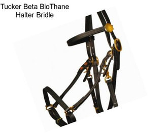 Tucker Beta BioThane Halter Bridle