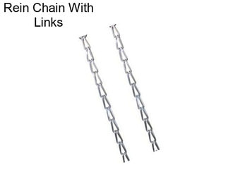 Rein Chain With Links