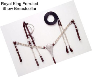 Royal King Ferruled Show Breastcollar