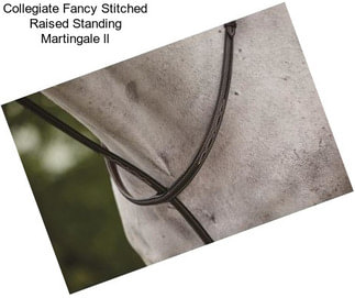 Collegiate Fancy Stitched Raised Standing Martingale ll