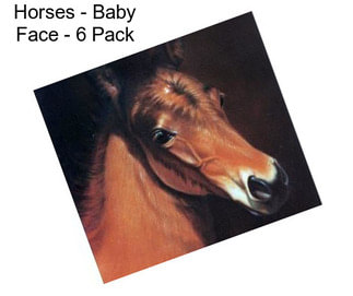 Horses - Baby Face - 6 Pack