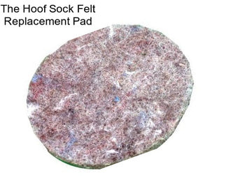 The Hoof Sock Felt Replacement Pad