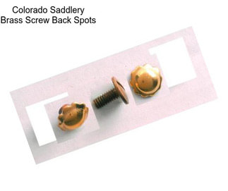 Colorado Saddlery Brass Screw Back Spots