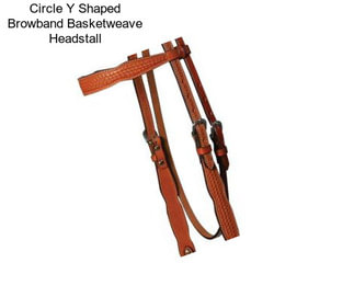 Circle Y Shaped Browband Basketweave Headstall