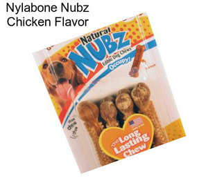 Nylabone Nubz Chicken Flavor