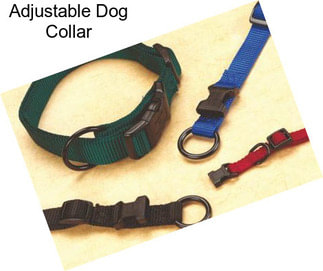 Adjustable Dog Collar