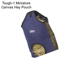 Tough-1 Miniature Canvas Hay Pouch